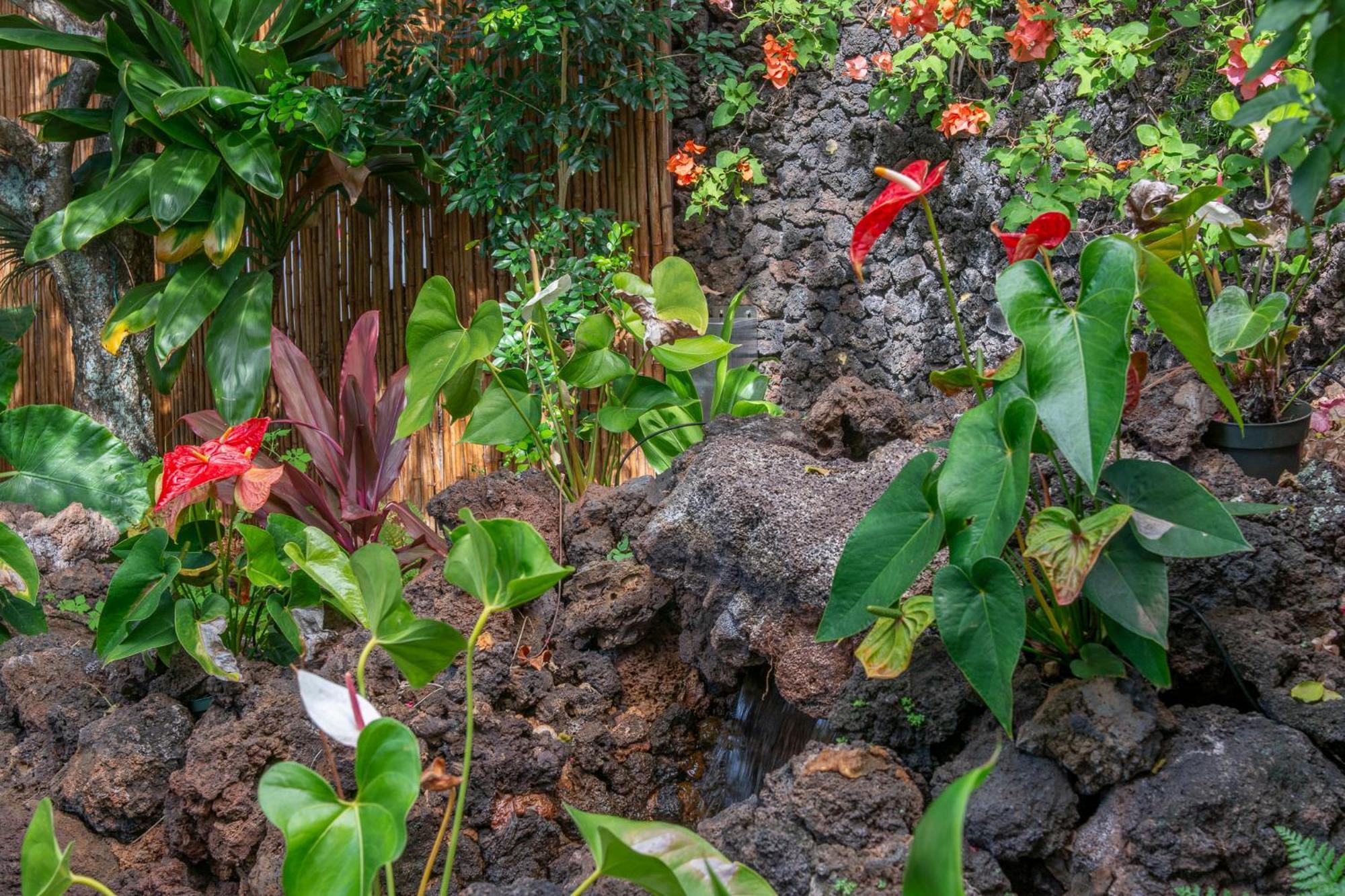 Napili Surf Beach Resort By Castle Kapalua Exterior photo